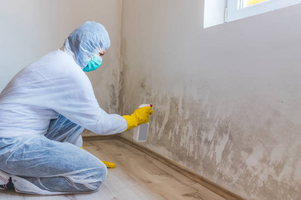 Licensed Commercial Mold Remediation service in New Milford, NJ - WQB Mold Removal