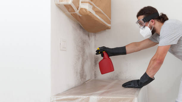 Professional Commercial Mold Remediation technician working in New Milford, NJ