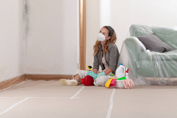 Reliable Commercial Mold Remediation contractor in New Milford, NJ by WQB Mold Removal